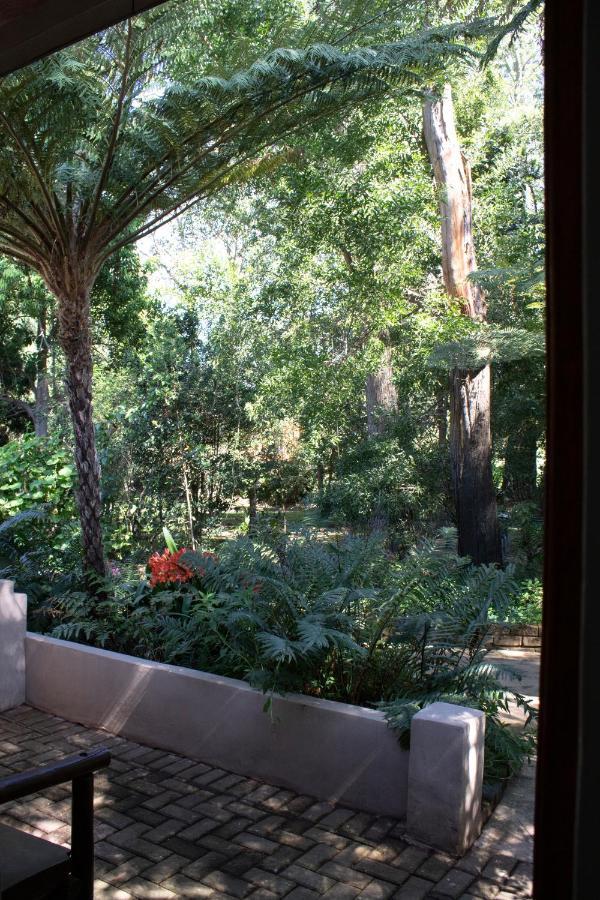 Andelomi Forest Lodge Stormsrivier Exteriér fotografie