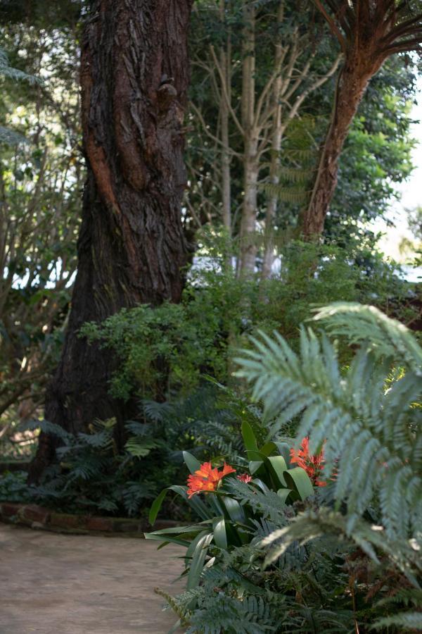 Andelomi Forest Lodge Stormsrivier Exteriér fotografie