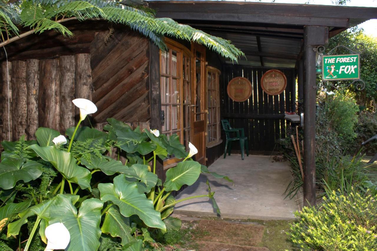 Andelomi Forest Lodge Stormsrivier Exteriér fotografie