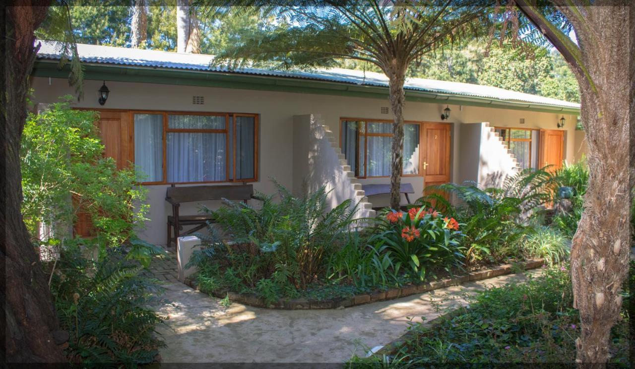Andelomi Forest Lodge Stormsrivier Exteriér fotografie