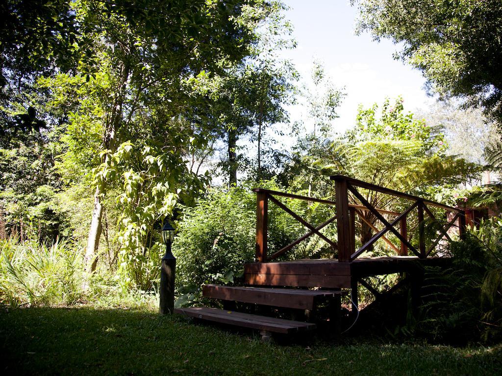 Andelomi Forest Lodge Stormsrivier Exteriér fotografie