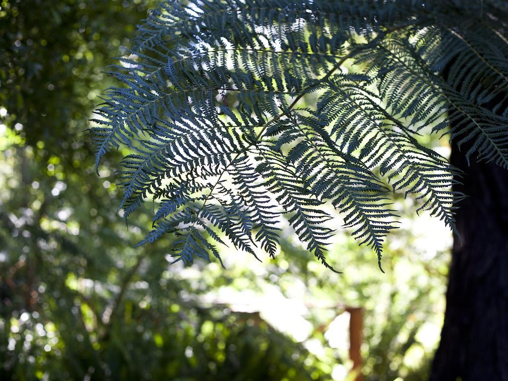 Andelomi Forest Lodge Stormsrivier Exteriér fotografie