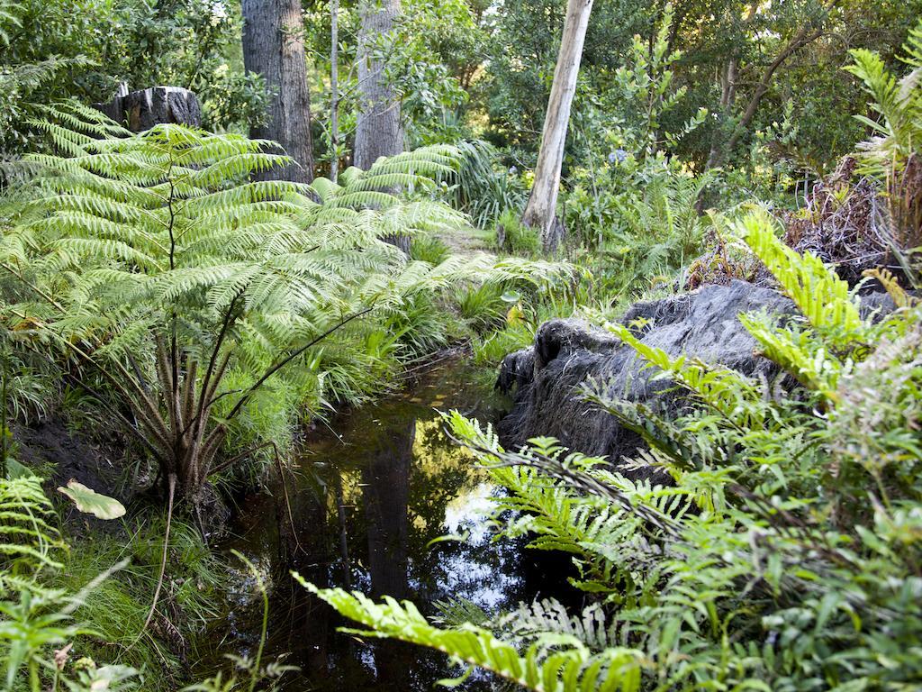 Andelomi Forest Lodge Stormsrivier Exteriér fotografie