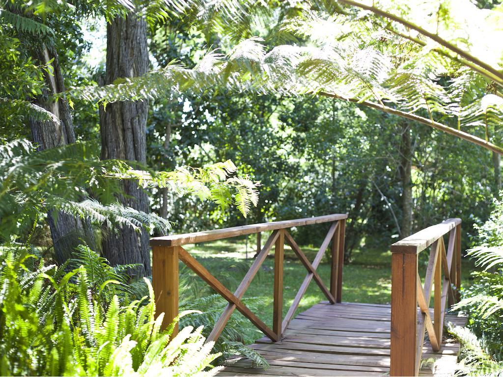 Andelomi Forest Lodge Stormsrivier Exteriér fotografie
